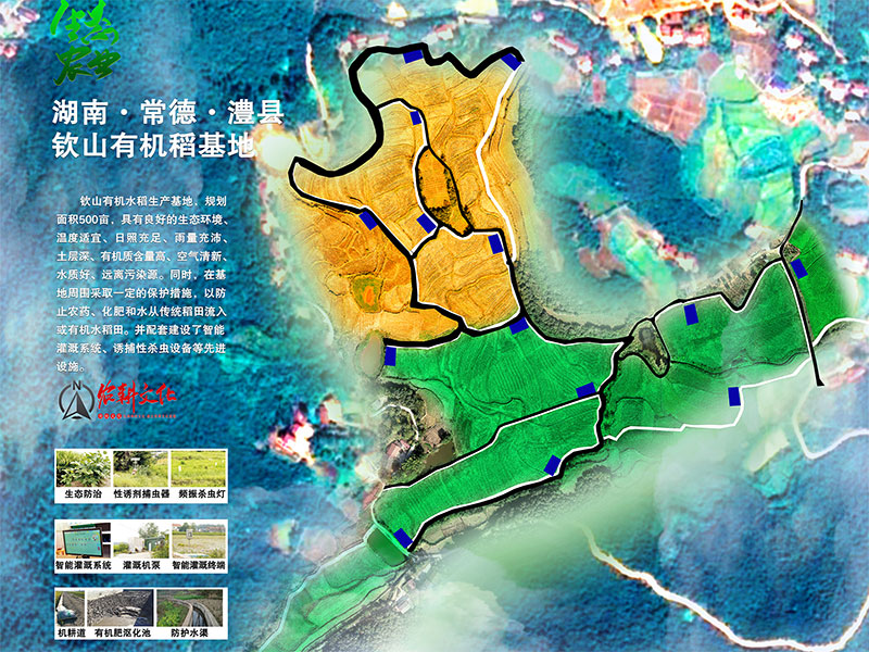 有机稻基地规划图